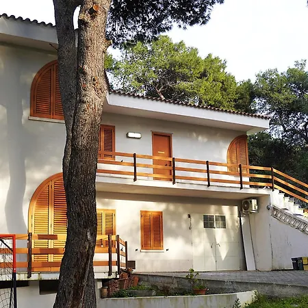 Apartman Ofelia
